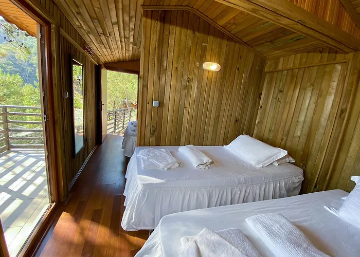 Hotell Tree
