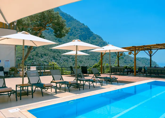 Hotell Tree 3*