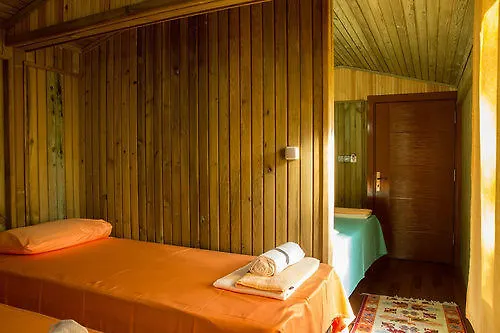 Tree Hotell