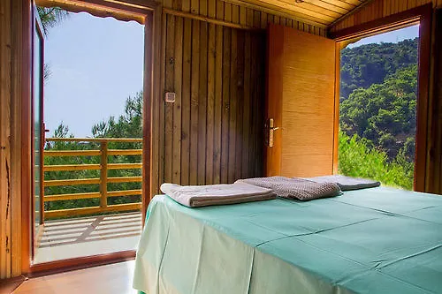 Tree Hotell 3*