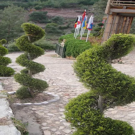Hotel Tree Faralya