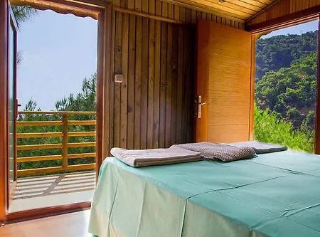 Tree Hotel 3*